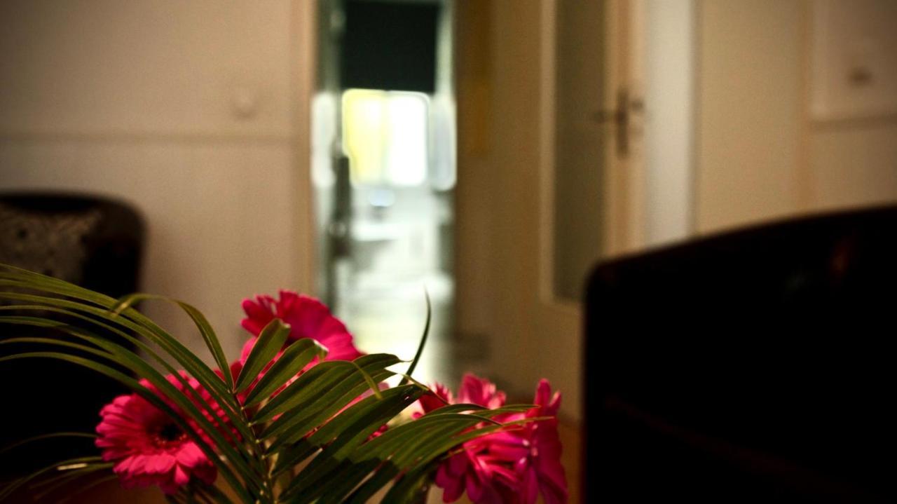 Pension Tokus نورنبيرغ المظهر الخارجي الصورة